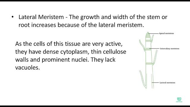 Science Class - 9 | Chapter 6 | Tissues | Lecture 1 | Hindi