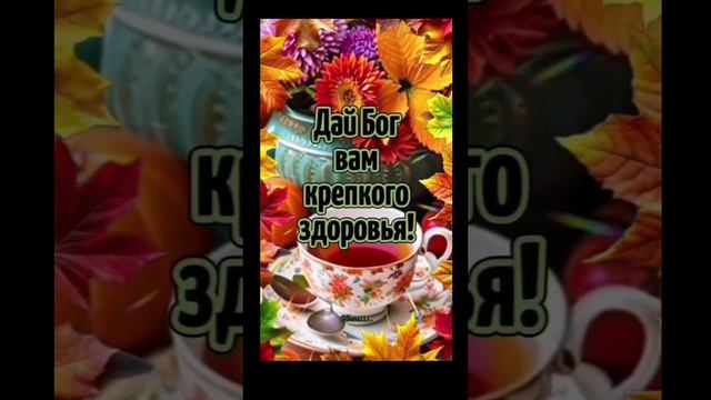 11-12-2024 доброе утро