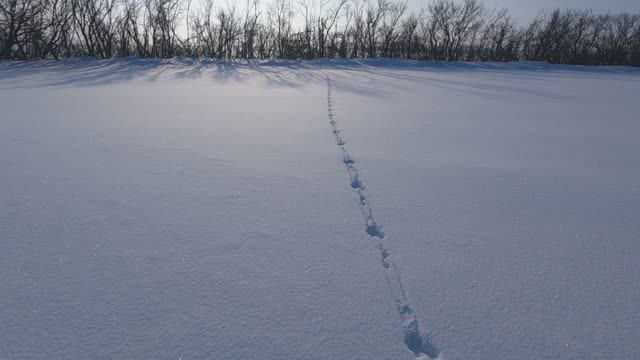 ОХОТА НА ЗАЙЦА. НЕ ПОВТОРЯЙТЕ ЭТОЙ ОШИБКИ!