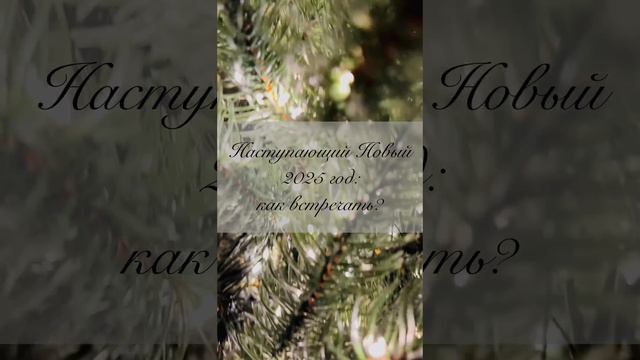 Как встречать наступающий Новый 2025 год?✨🍀💖