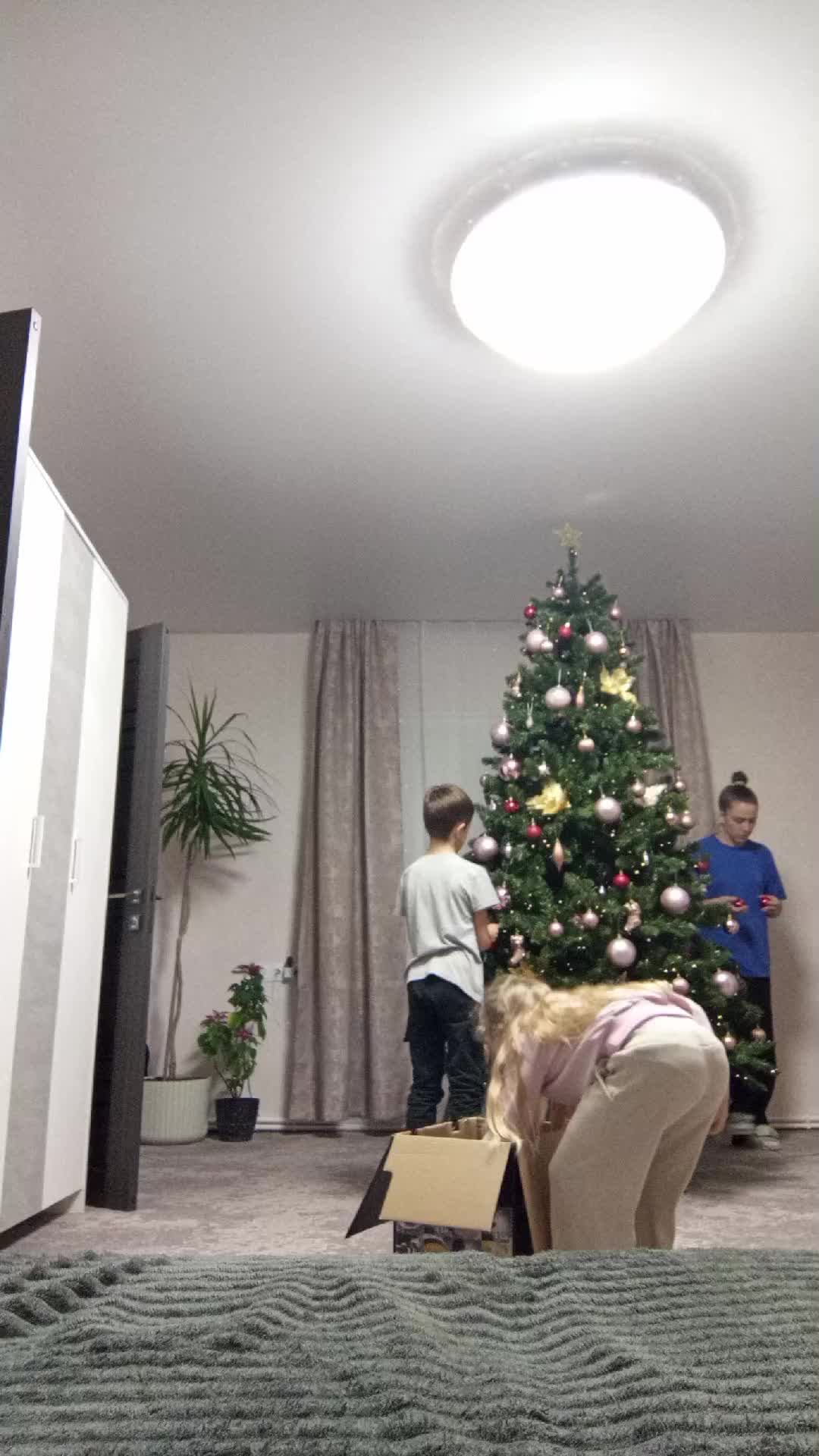 в предверии нового года 🎄