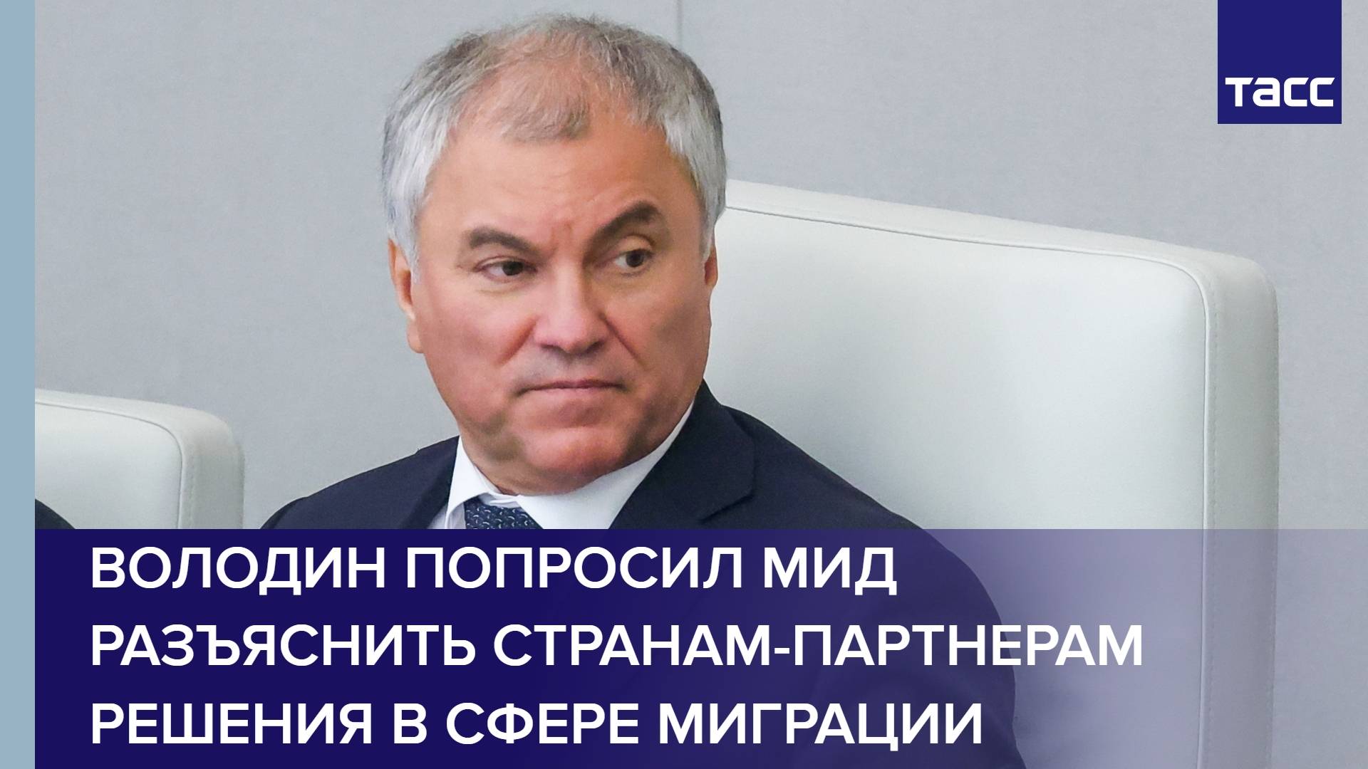 Володин попросил МИД разъяснить странам-партнерам решения в сфере миграции