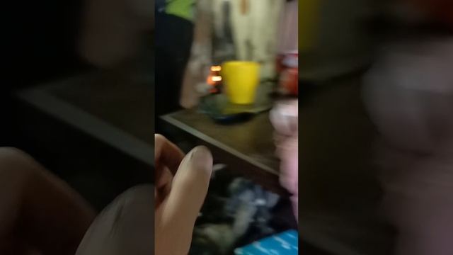 1001228232.mp4