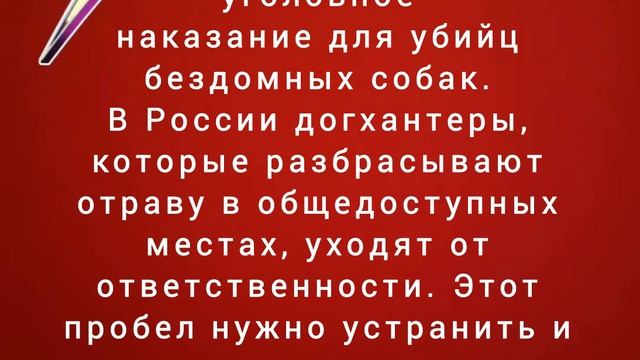 В России хотят ввести уголовное наказание для убийц бездомных собак