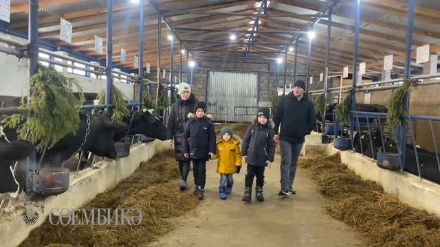 Казыклар