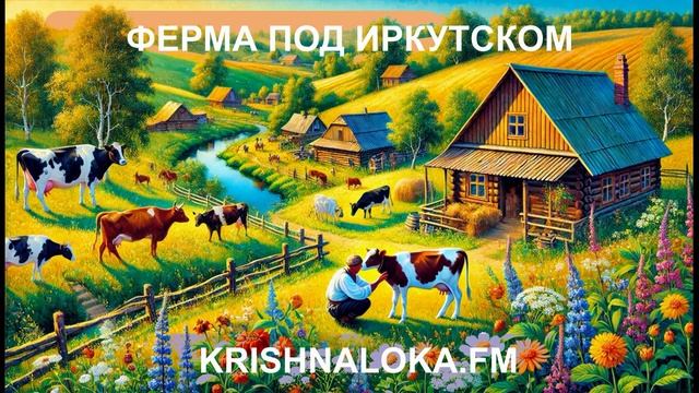 Радио Кришналока. Интервью с ахимса-фермерами из Иркутска, 7.12.24