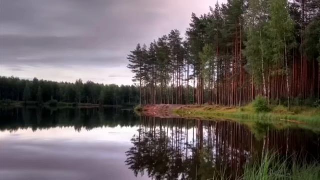 Проповедь Святителя Луки Крымского