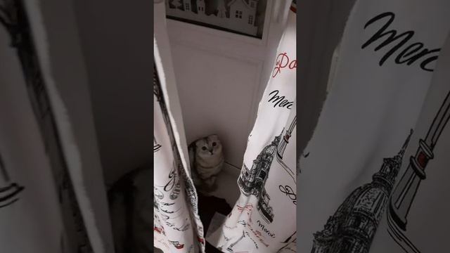 В домике.)))😻