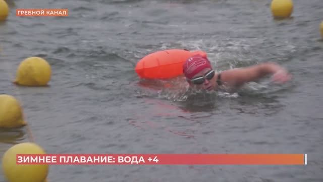 Моржи снова вошли в холодную воду за медалями