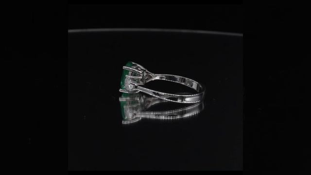 MS002-R VIDEO