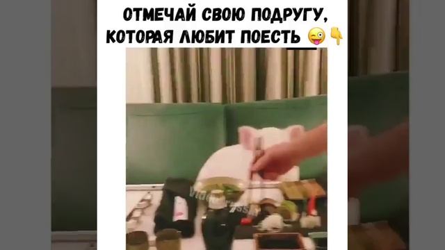 Смешные моменты