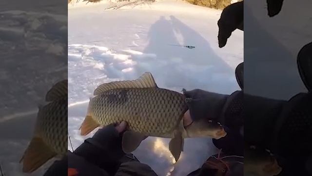 1000023459.mp4