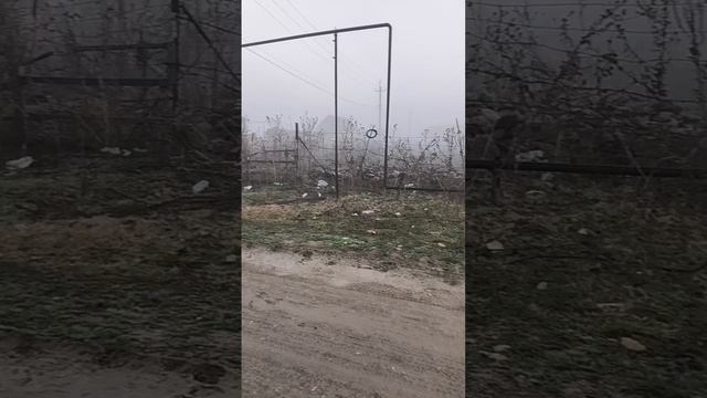ох этот сильный туман, иду в школу
