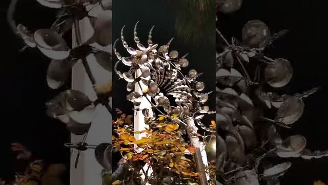 Красота на набережной в Сочи.