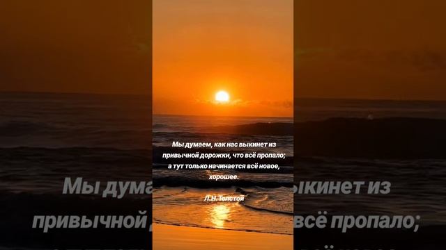 Отчаяние и обновление