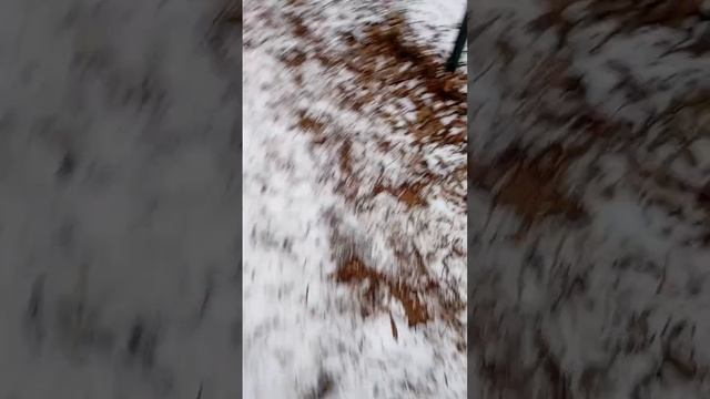 scene_output.mp4