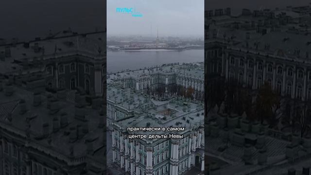 Мой Эрмитаж