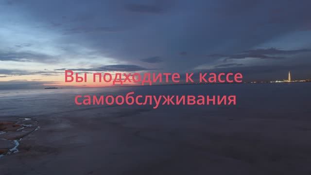 Как отшить назойливого сотрудника касс самоосблуживания