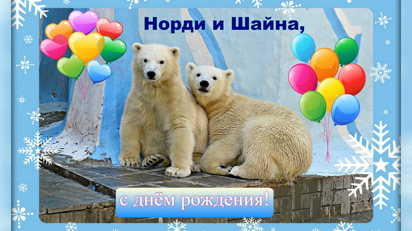 С днём рождения, дорогие Норди и Шайна!