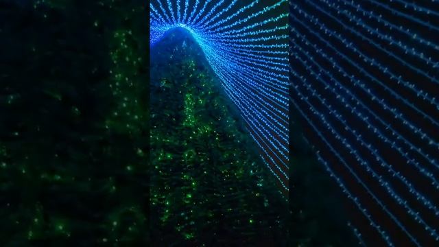 ❄🌲Новогодняя сказка🌲❄ 
город Краснодар