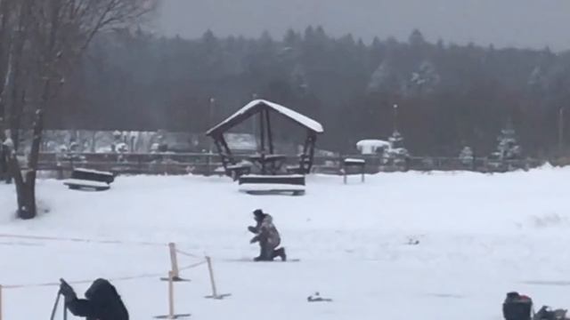 Форель на льду