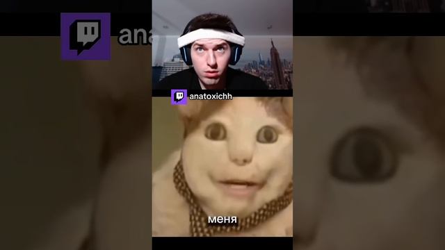 бу Испугался Не бойся