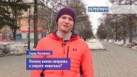 Конституция РФ почему важна поправка о защите животных