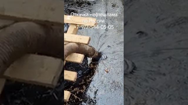 мазут
откачка , вывоз и утилизация