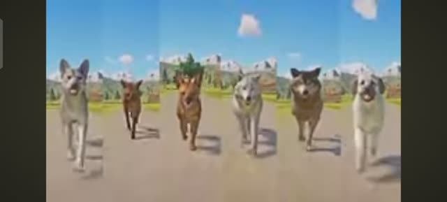 Гонка волков planet zoo включающейся волк, динго и тд.