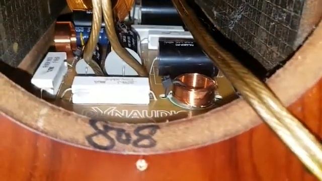 dynaudio focus deep look inside