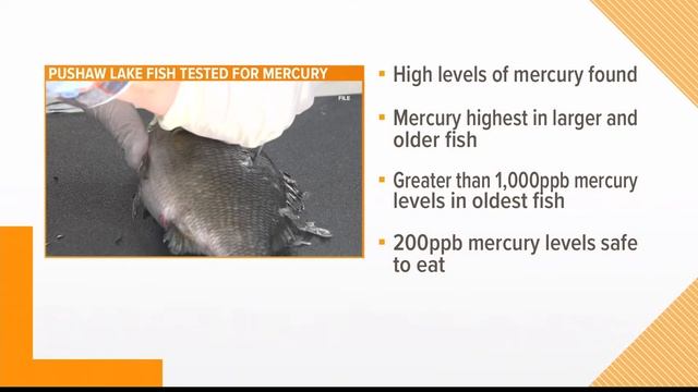 Researchers find high levels of mercury in fish in Maine's Pushaw Lake