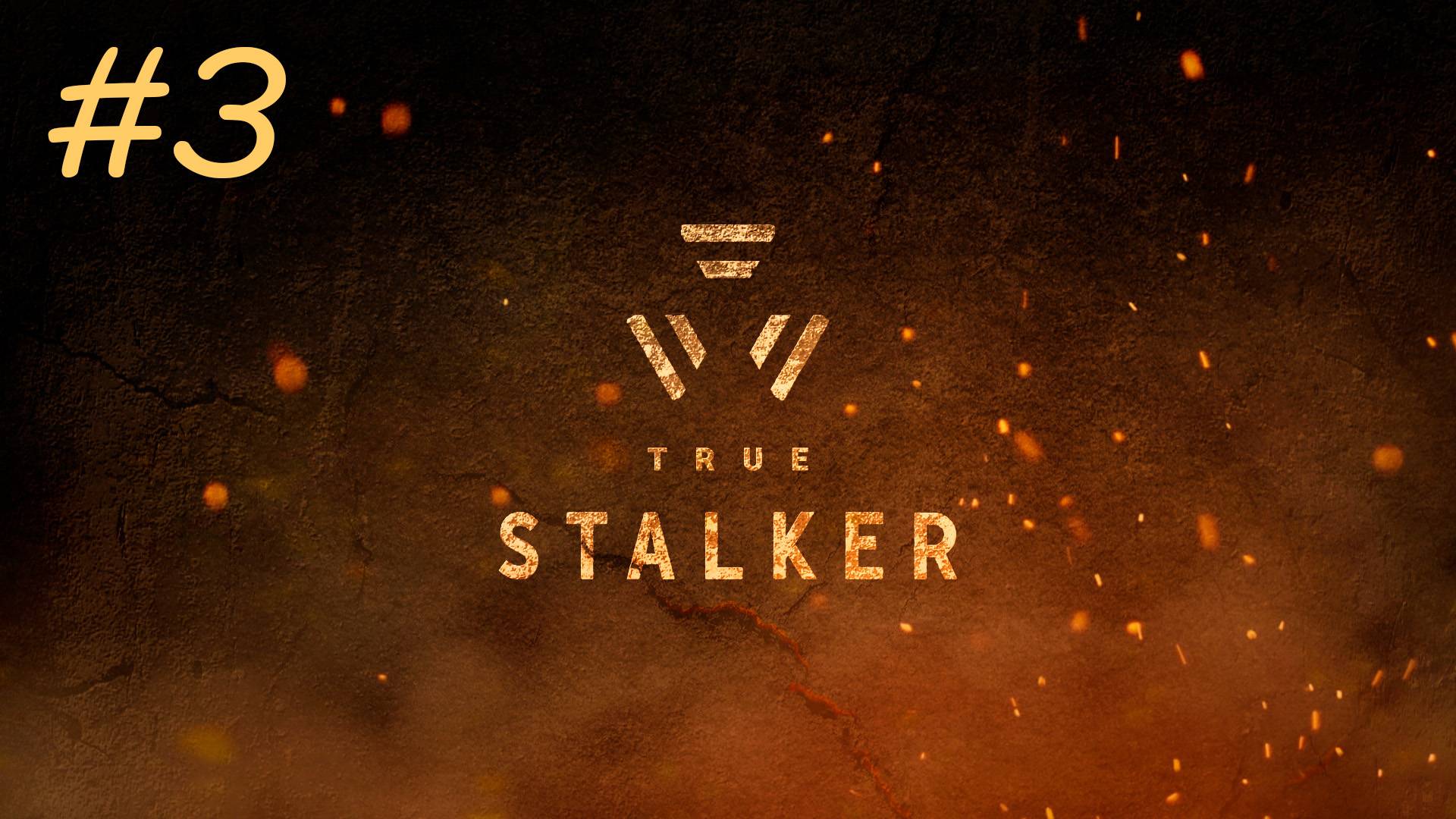 [PC] True Stalker | Прохождение | #3