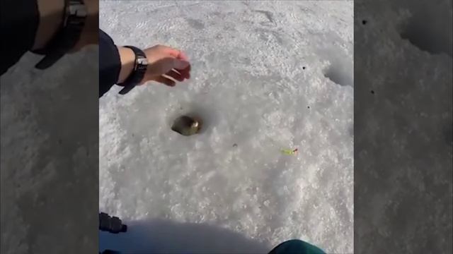 1000023457.mp4