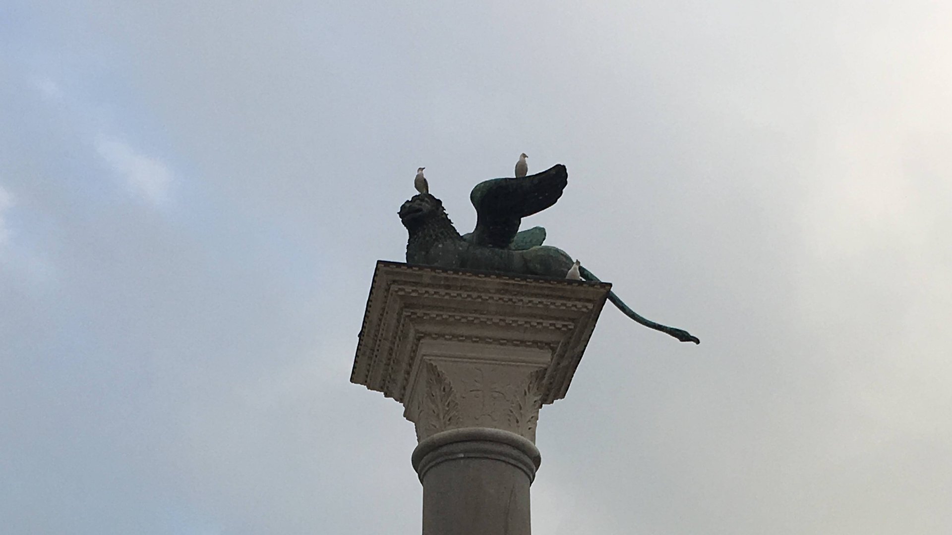 Лев Святого Марка #Венеция #ЛевСвятогоМарка