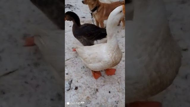 1000178437.mp4