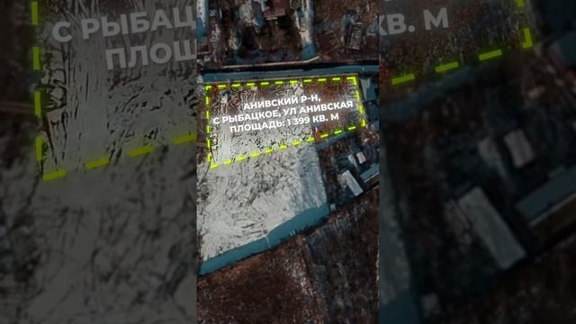WhatsApp Video 2024-12-02 at 11.24.28