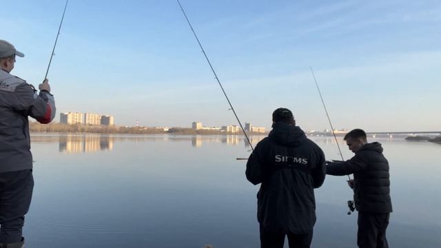 Даже друзья ТАКОЕ не выдержали, МОРЕ ЗАЦЕПОВ и СУДАКИ | РЫБАЛКА В ПОЛОВОДЬЕ НА ДЖИГ С БЕРЕГА