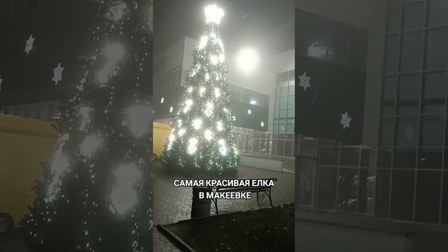 Самая красивая ёлка Макеевки