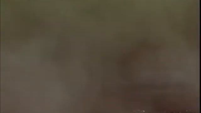 TC Mouras 2012 9 de Julio Massive roll for Centurion