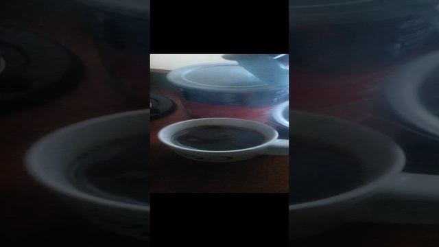 VID_20241211_081856