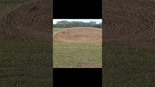 Рулон природной туалетной бумаги. 11.12.2024 #докторндн #пасхальвиварий #челябинск #писатели #книги