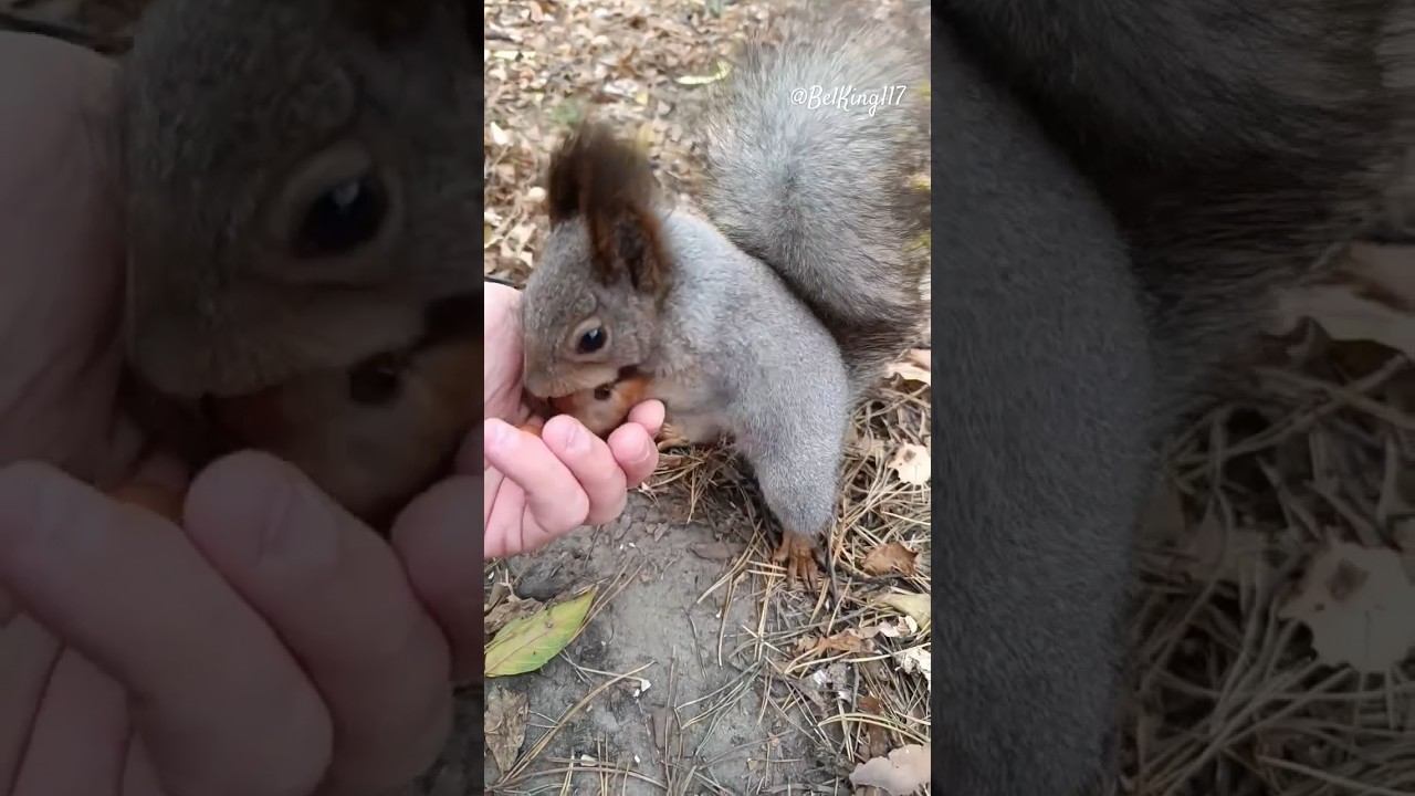 Эх, а так хотелось два утащить️oh, I really wanted to steal two️