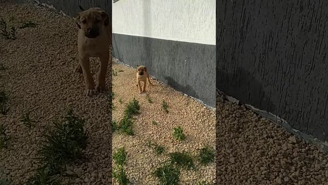 классный правда ?