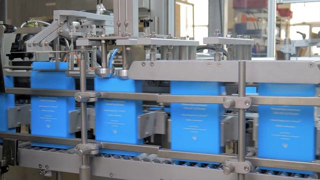 Скоростная упаковка хлопьев c картонатором PACKTECH -100