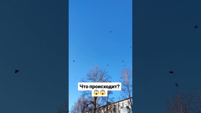 Что происходит??