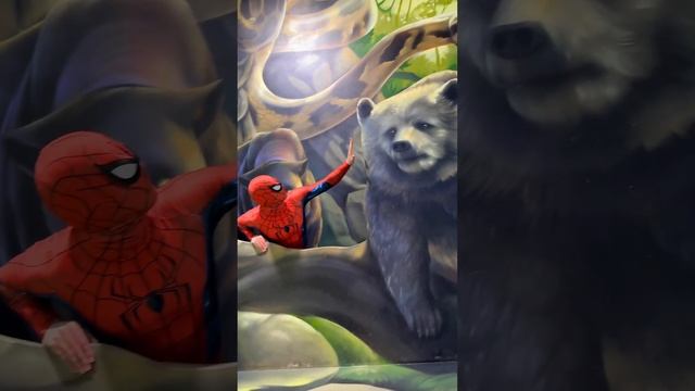 Funny Spiderman