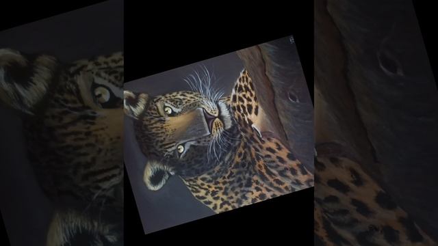 Мои картины с котами 🐯