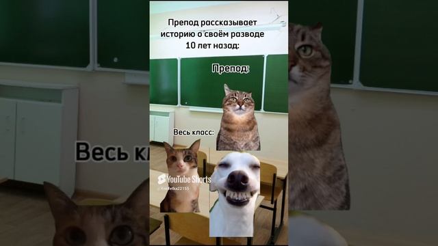 История о жизни учителей всегда интереснее😂