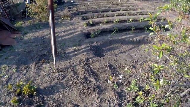 ЖИВЕМ В ДЕРЕВНЕ!!ПОБЕДИЛИ ТРАВУ В ОГОРОДЕ!!!ВЕСЬ ДЕНЬ С ТЯПКОЙ НАПЕРЕВЕС!!!Деревенский влог