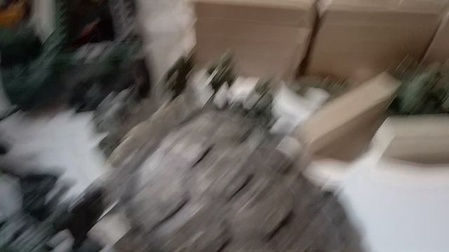 1000004236.mp4